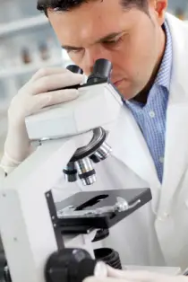 dangers of low carb diets dangers of low carb diets
