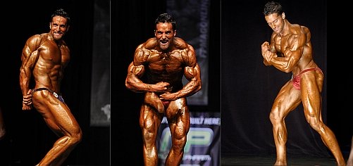 layne norton interview